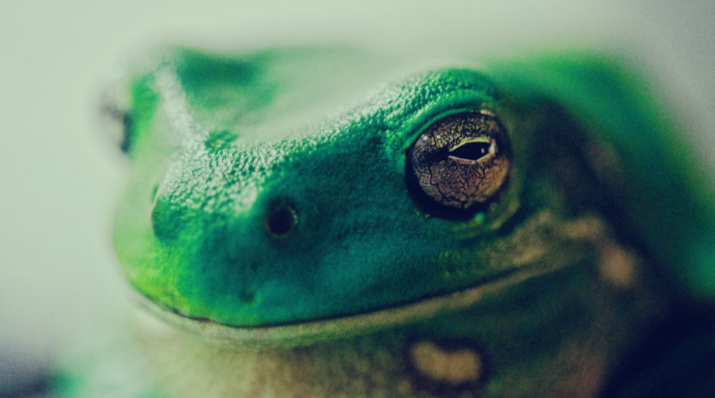 Photo by Paul Kapischka on Unsplash Photo by Paul Kapischka on Unsplash